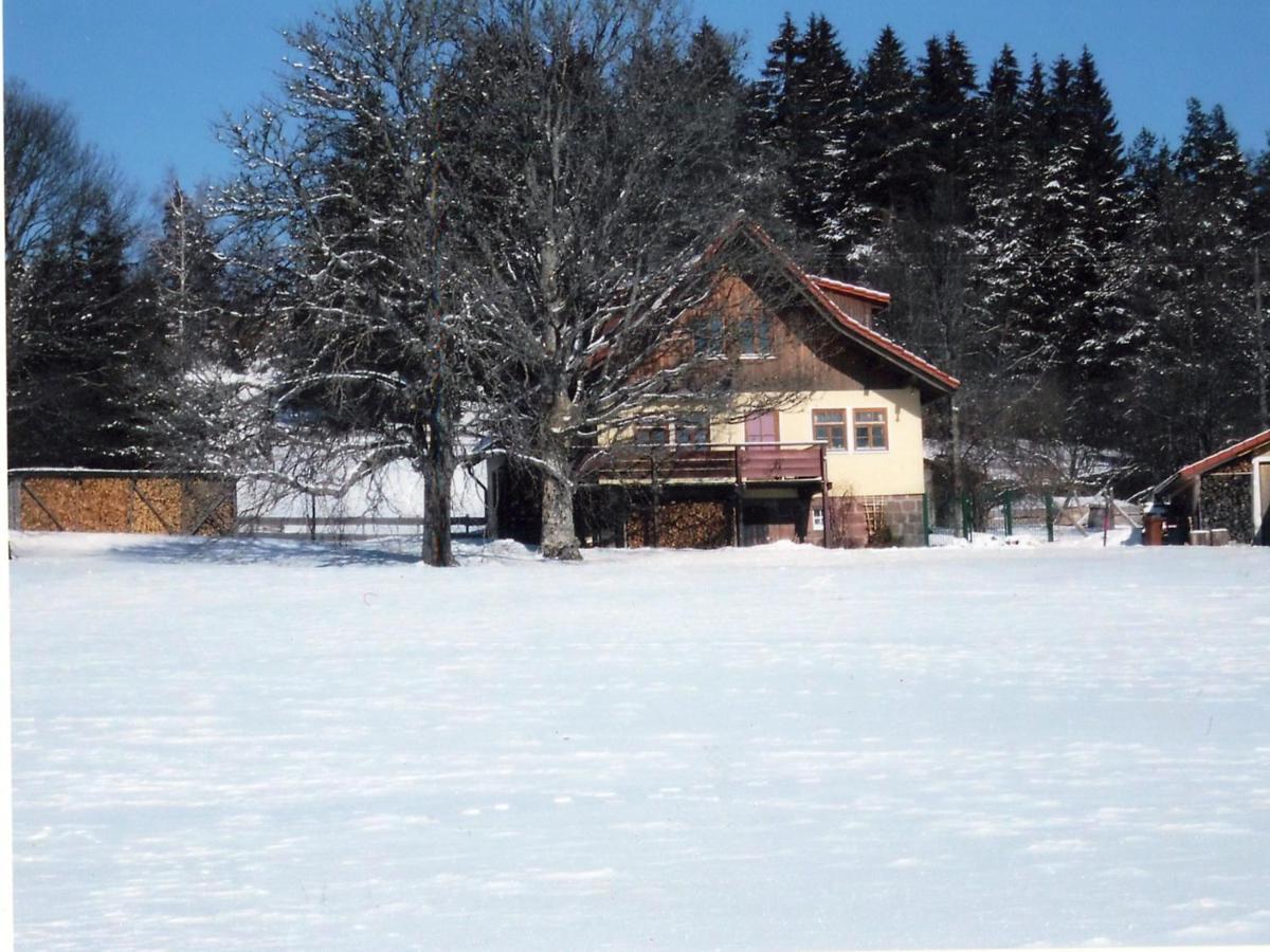 Landhaus Graf Kniebis Luaran gambar